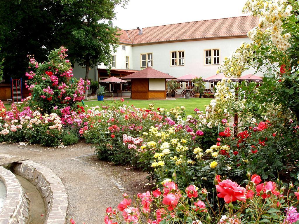 Hotel Weidenmuhle Mühlhausen Exterior foto